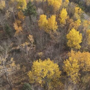 2.00 acres in Radisson, WI (Sawyer County) - APN 004-738-07-4404 (photo 13)